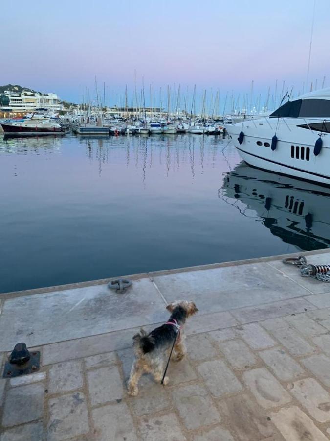 Cannes Old Port, Seafront & Seaview, Yacht Show Port المظهر الخارجي الصورة